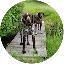 Tracy Bramwell profile picture